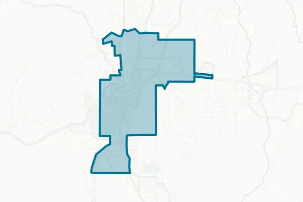 Town of Silver City — detail map