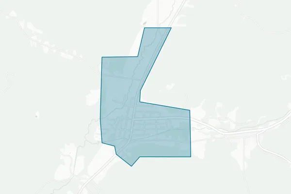 Village of Bolivar — detail map