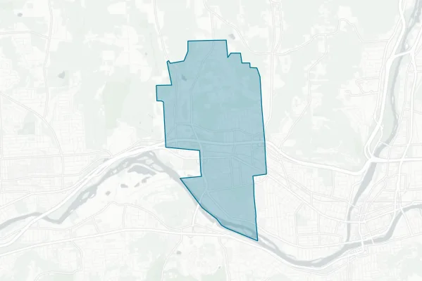 Village of Johnson City — detail map