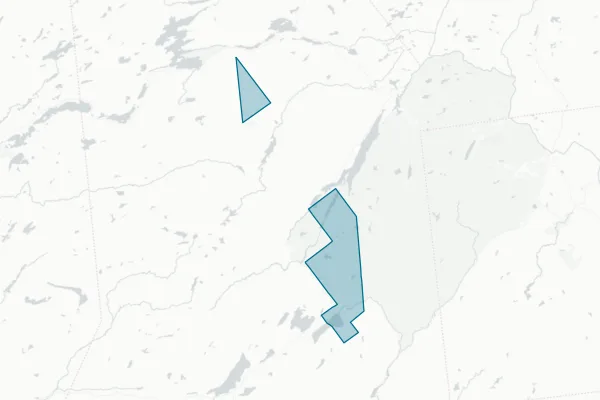Village of Speculator — detail map