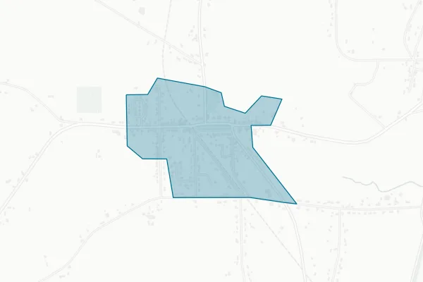 Town of Leicester — detail map
