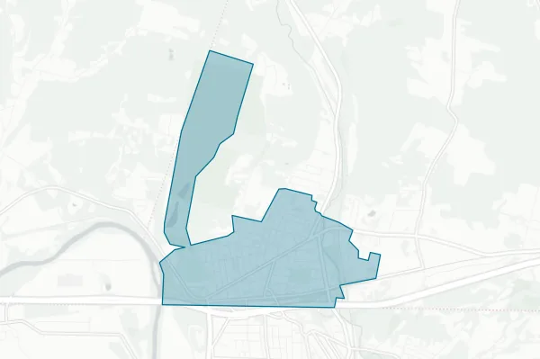Village of Waverly — detail map