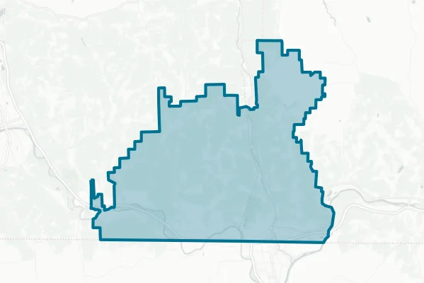 Waverly Central School District — detail map