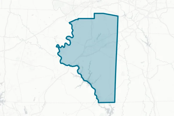 Davidson County — detail map