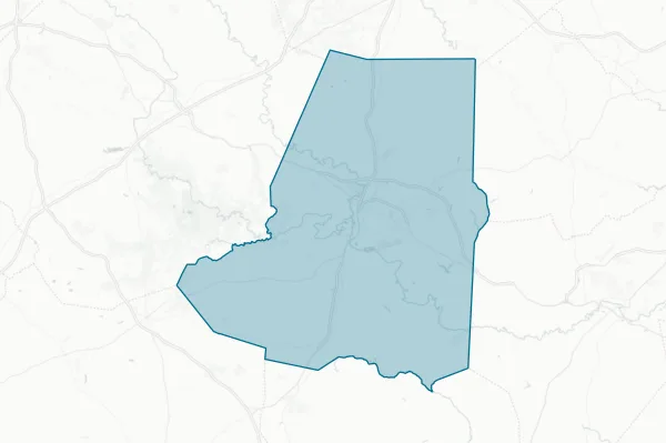 County of Wayne — detail map
