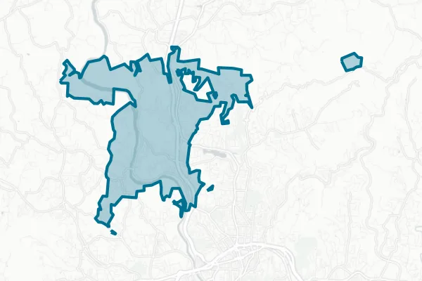 Town of Woodfin — detail map