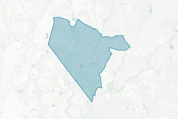 Town of Pineville — detail map