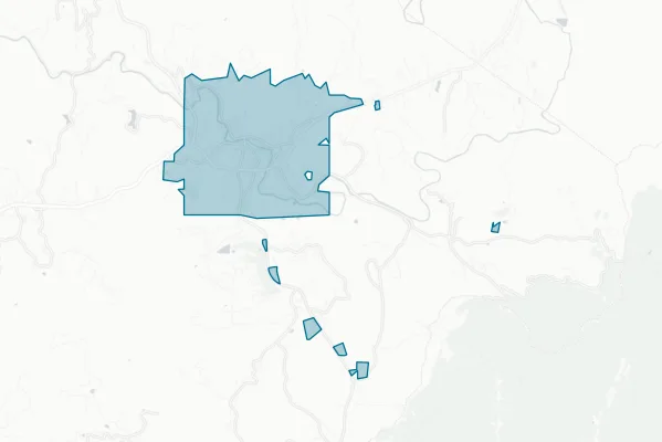 Town of Spruce Pine — detail map