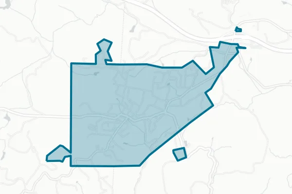 City of Saluda — detail map