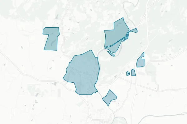 Town of Mayodan — detail map