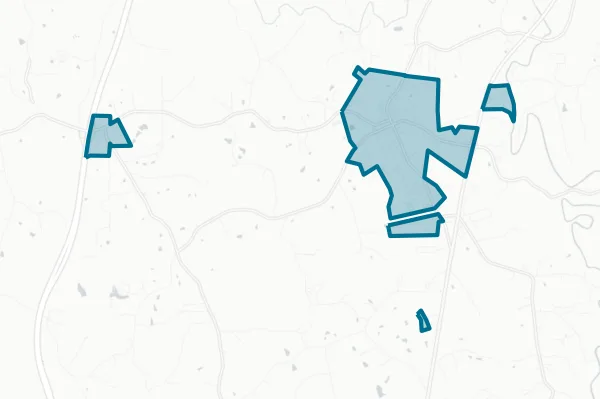 Town of Dobson — detail map