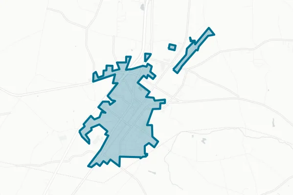 Town of Mount Olive — detail map