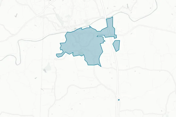 Town of Jonesville — detail map