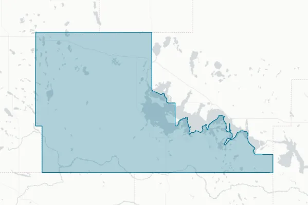 Benson County — detail map