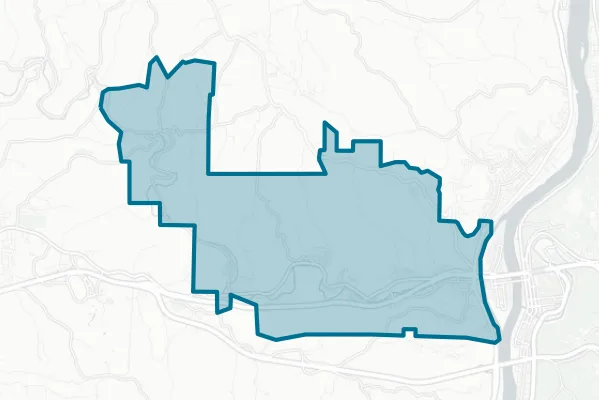 Bridgeport Exempted Village School District — detail map