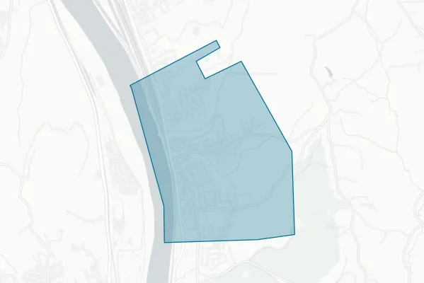 Borough of Baden — detail map