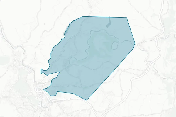 Conemaugh Valley School District — detail map