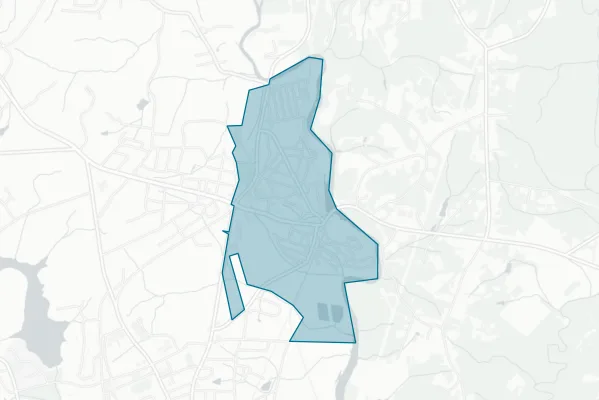 Town of Pelzer — detail map