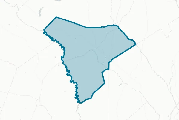 Allendale County — detail map