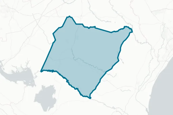 Williamsburg County — detail map