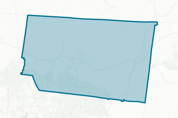 Macon County — detail map