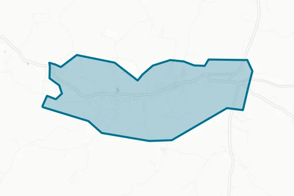 City of Erin Tennessee — detail map