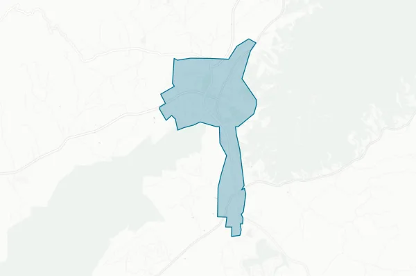 Town of Mountain City — detail map