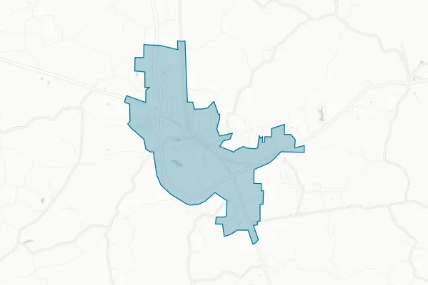 Town of Selmer — detail map