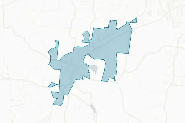 City of Mount Pleasant — detail map