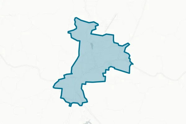 Town of Livingston — detail map