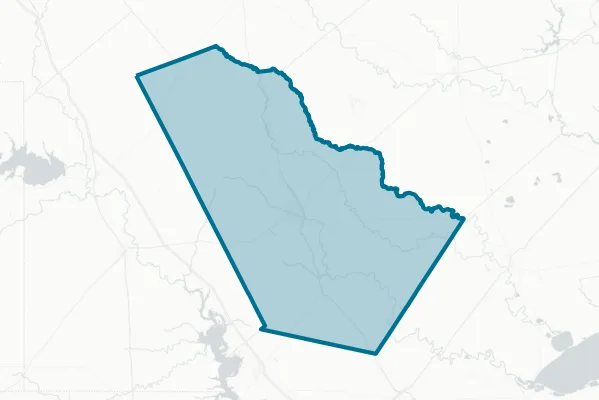 Bee County — detail map