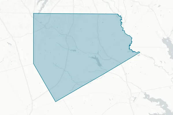 Ellis County — detail map