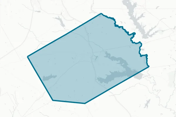 Navarro County — detail map
