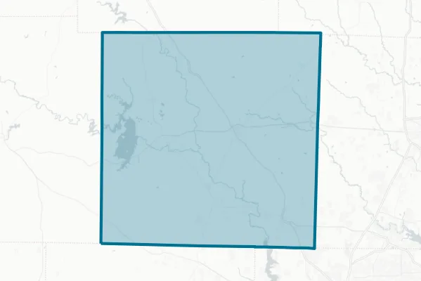 Wise County Texas — detail map