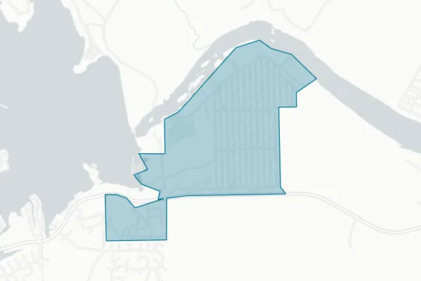 City of Cottonwood Shores — detail map