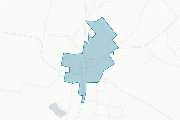 City of Bedias — detail map