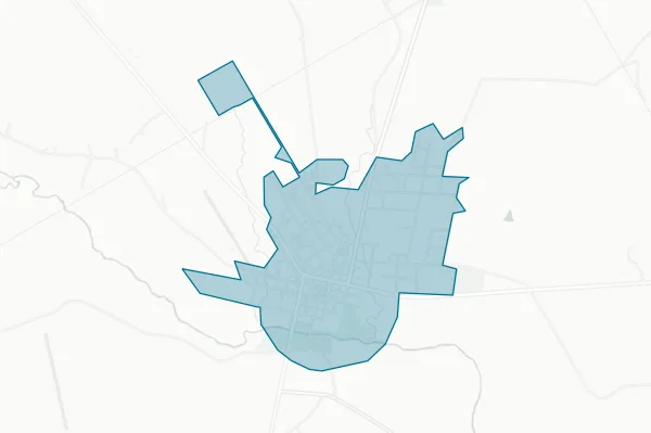 City of Hico — detail map