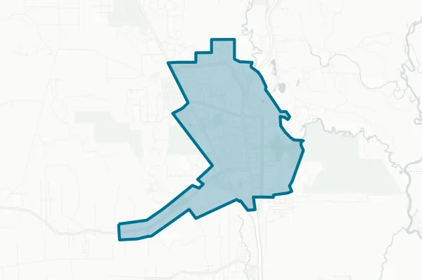 City of Lumberton Texas — detail map