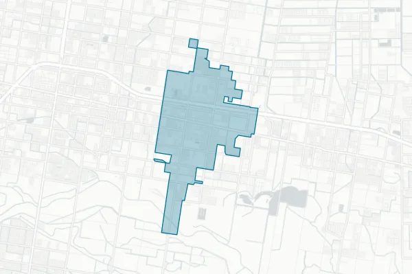 City of Alamo — detail map