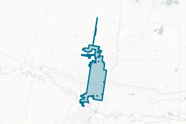 City of McAllen — detail map