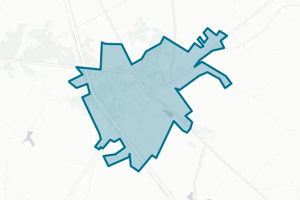 City of Buffalo — detail map