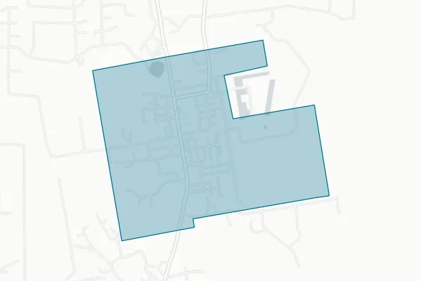 City of Daisetta — detail map
