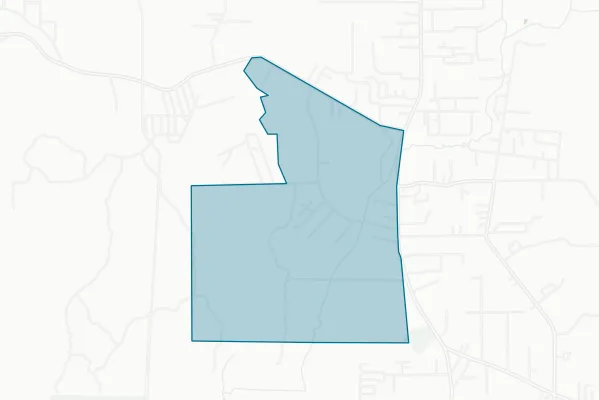 City of Pine Forest — detail map