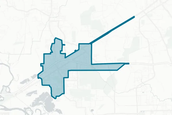 City of Vidor — detail map