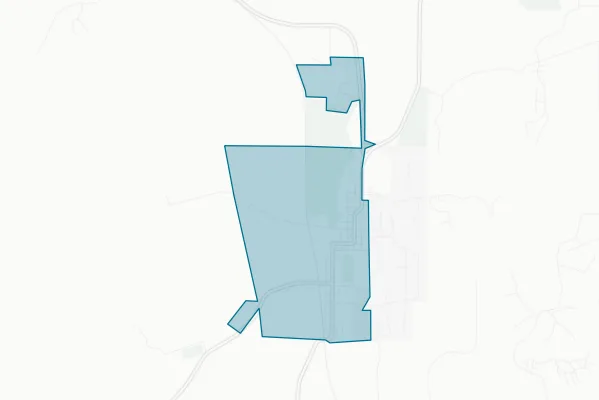 Town of Buffalo Gap — detail map