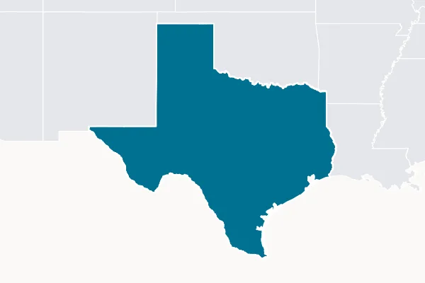 South Texas Independent School District — detail map