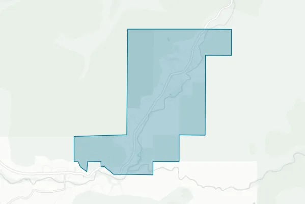 Town of Springdale — detail map
