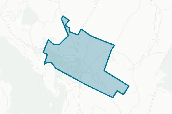 Village of Hyde Park — detail map