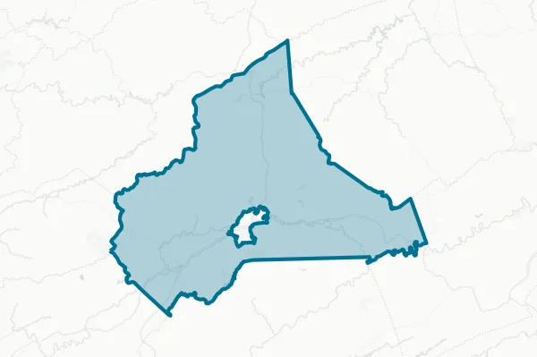 Wise County — detail map