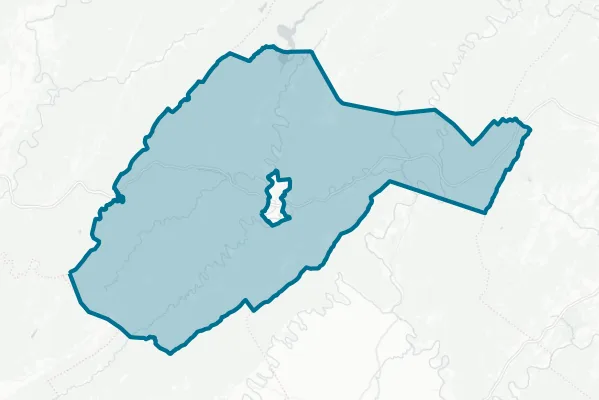County of Alleghany — detail map